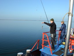 Competities HSV Alfheim